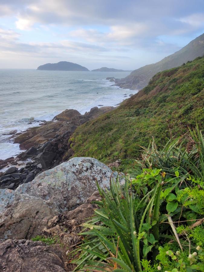 Apartamento Entre A Montanha E Do Mar Διαμέρισμα Florianópolis Εξωτερικό φωτογραφία